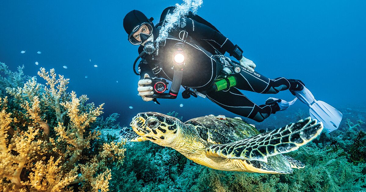 Scuba diver taking photo of sea turtle