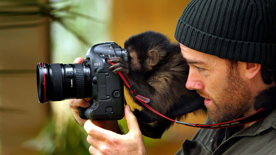 Little monkey looking through camera