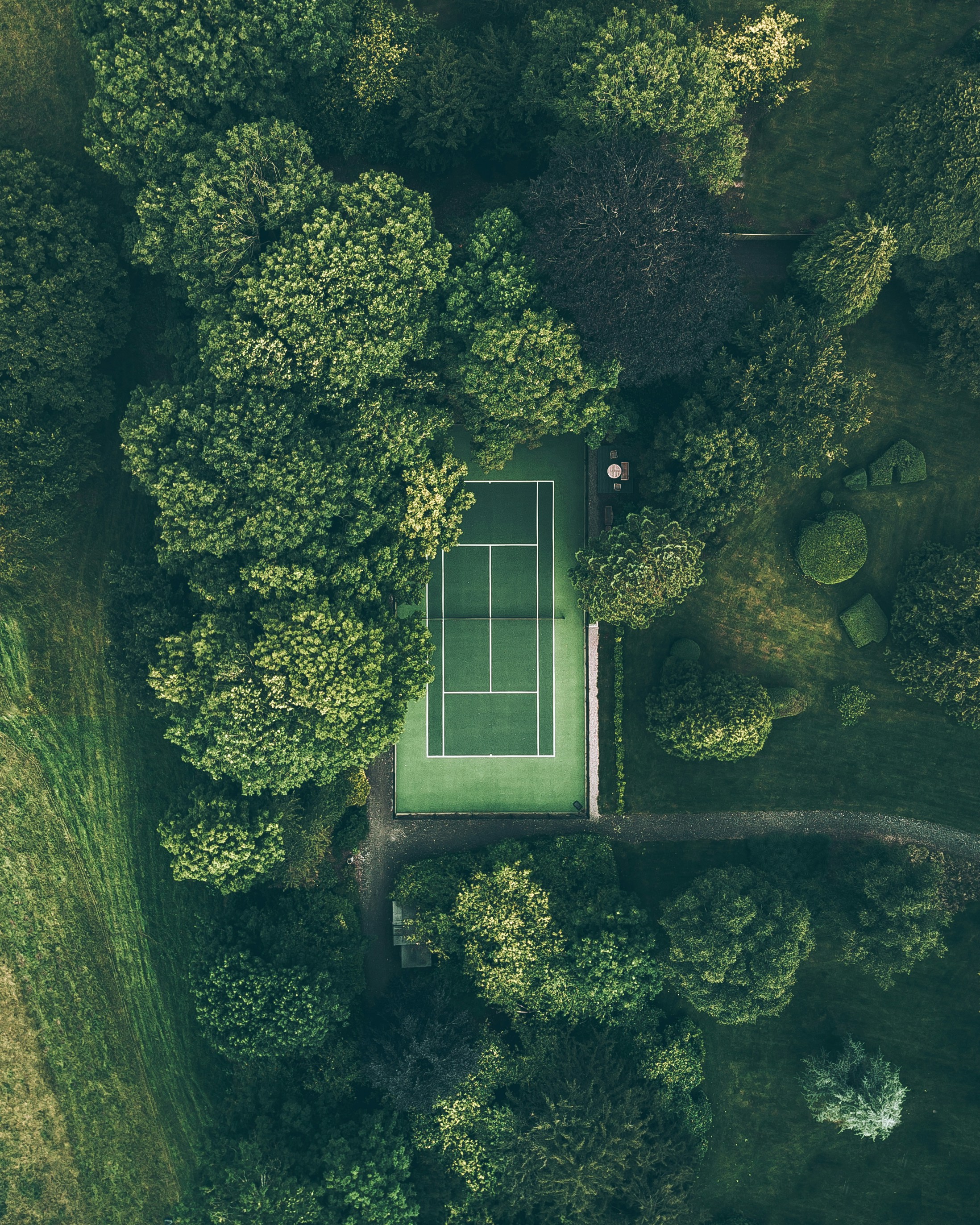 aerial photo of forest with tennis court by Ryan Searle