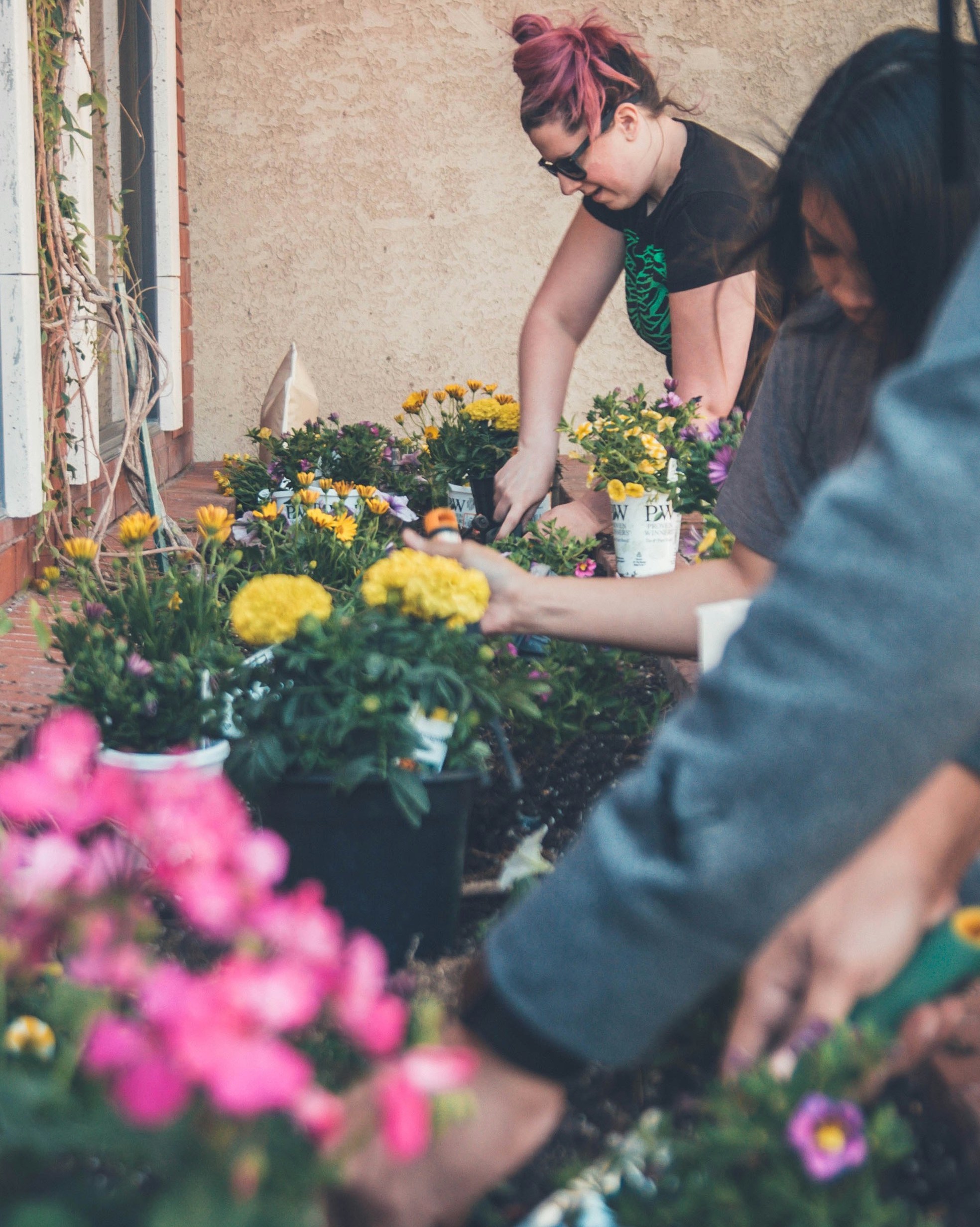 people planting flowers together