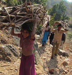 Indian woman carrying bundle of wood