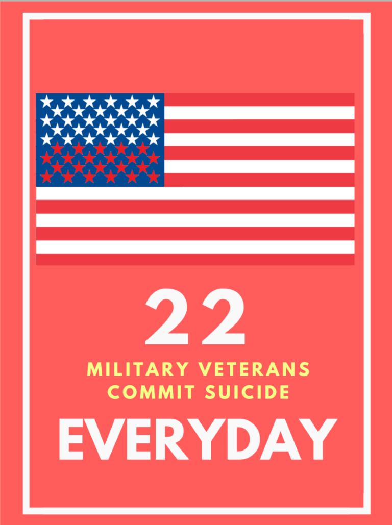 Graphic with an American flag and a statistic about veteran suicide.