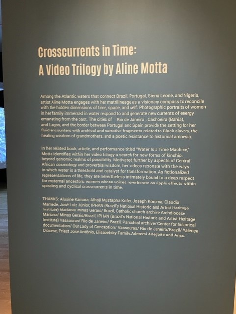 A description of the Crosscurrents in Time: A Video Trilogy by Aline Motta