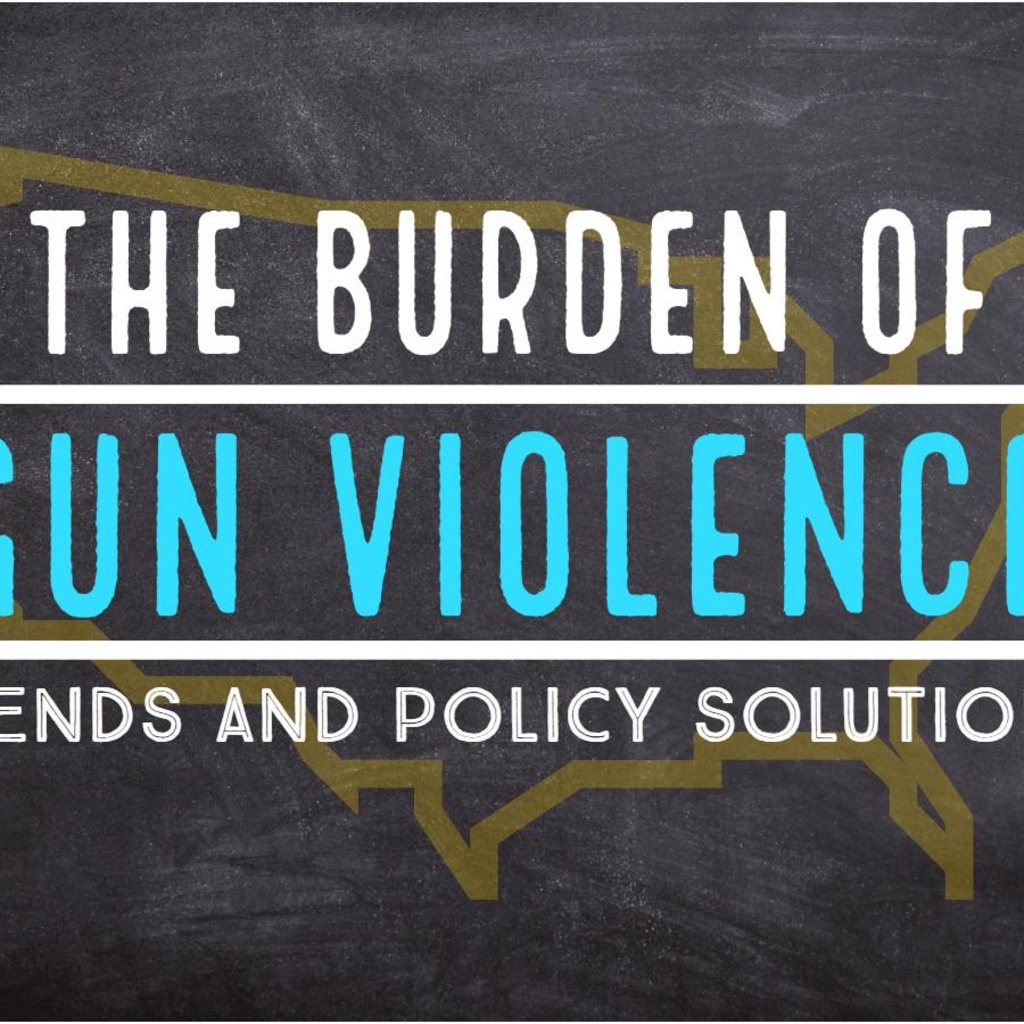 The Burden of Gun Violence: Trends and Policy Solutions promotional image