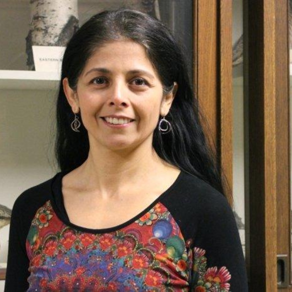 Studying Female Morphology. Dr. Patricia Brennan, Mt. Holyoke College promotional image