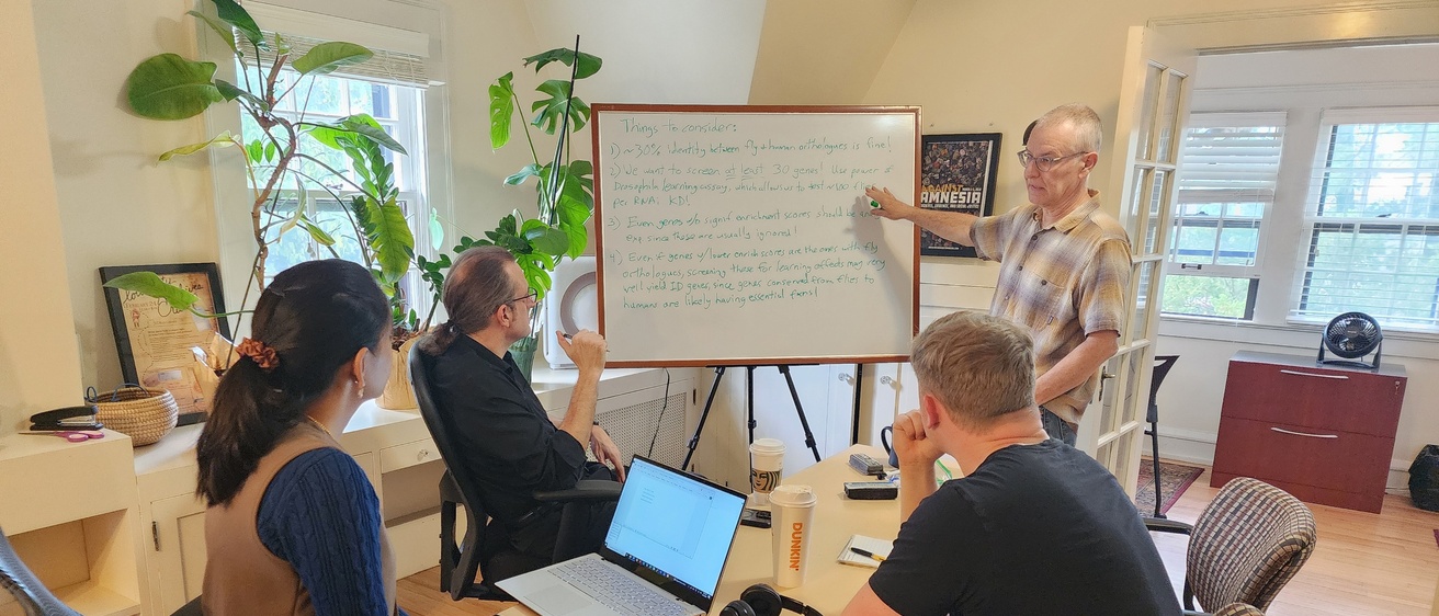 IDRG group working