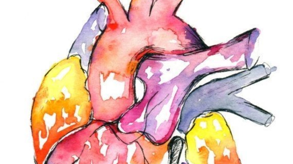 watercolor painting of human heart